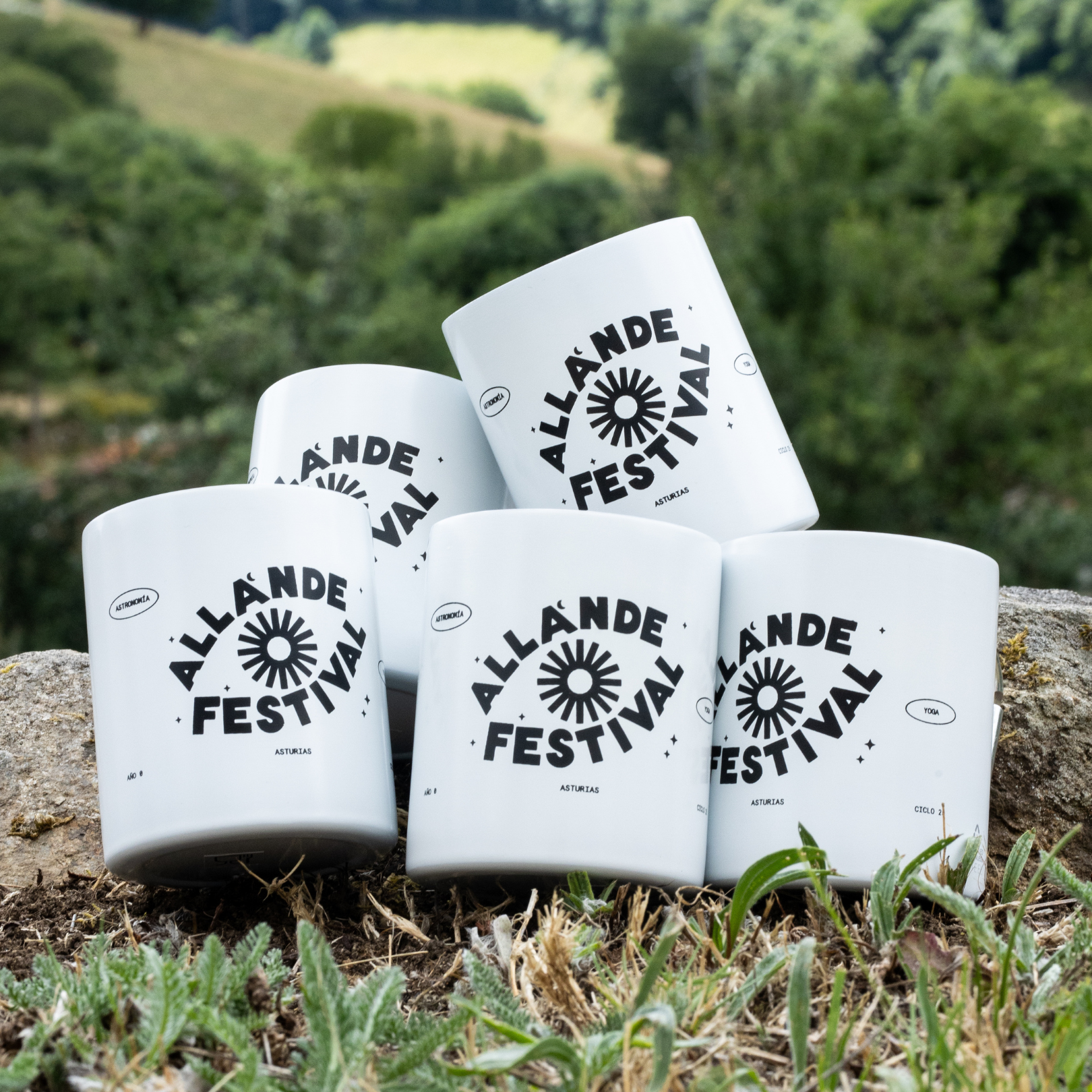 Cinco tazas del Allande Festival sobre la hierba